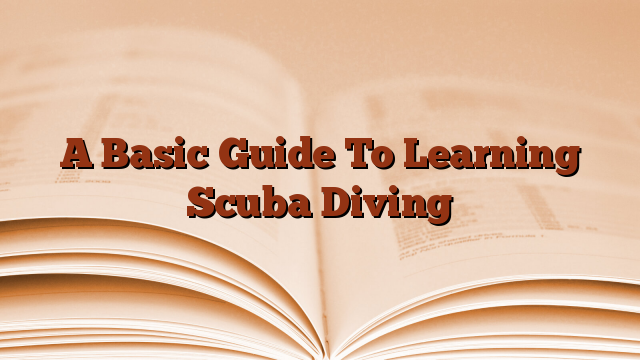 A Basic Guide To Learning Scuba Diving