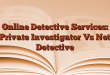 Online Detective Services: Private Investigator Vs Net Detective