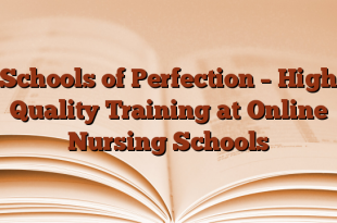 Schools of Perfection – High Quality Training at Online Nursing Schools