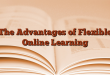 The Advantages of Flexible Online Learning