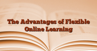 The Advantages of Flexible Online Learning