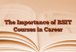 The Importance of BSIT Courses in Career