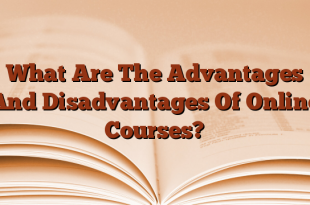 What Are The Advantages And Disadvantages Of Online Courses?