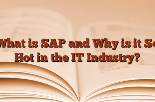 What is SAP and Why is it So Hot in the IT Industry?