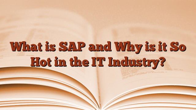What is SAP and Why is it So Hot in the IT Industry?