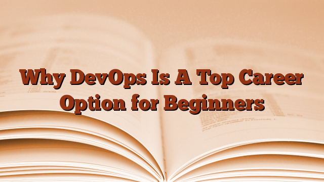Why DevOps Is A Top Career Option for Beginners