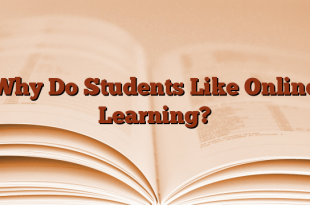 Why Do Students Like Online Learning?