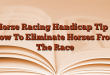 Horse Racing Handicap Tip – How To Eliminate Horses From The Race