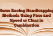 Horse Racing Handicapping Methods Using Pace and Speed or Class in Combination
