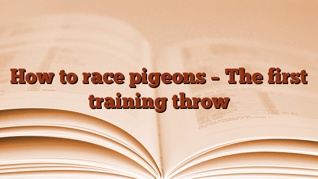 How to race pigeons – The first training throw