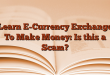 Learn E-Currency Exchange To Make Money: Is this a Scam?