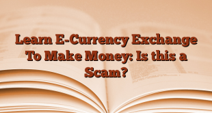 Learn E-Currency Exchange To Make Money: Is this a Scam?