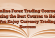 Online Forex Trading Course – Using the Best Courses to Help You Enjoy Currency Trading Success