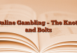 Online Gambling – The Knots and Bolts