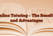 Online Tutoring – The Benefits and Advantages