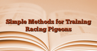 Simple Methods for Training Racing Pigeons
