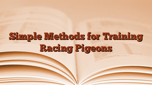 Simple Methods for Training Racing Pigeons