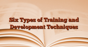 Six Types of Training and Development Techniques