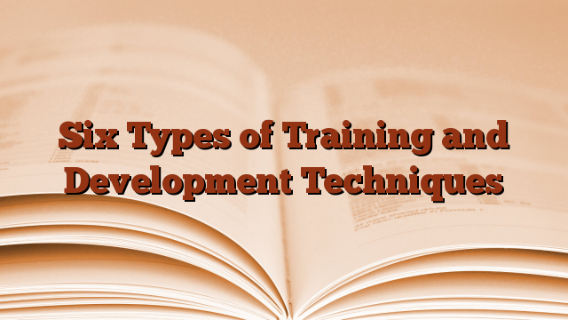 Six Types of Training and Development Techniques