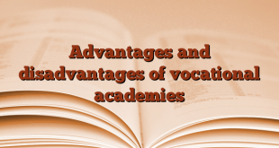 Advantages and disadvantages of vocational academies