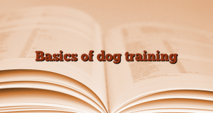 Basics of dog training