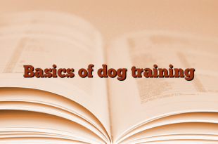 Basics of dog training