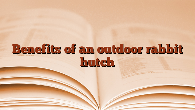 Benefits of an outdoor rabbit hutch