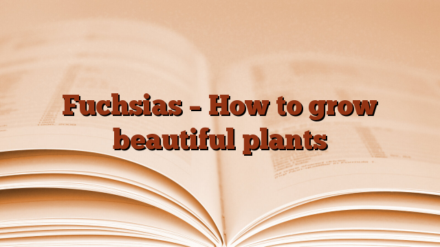 Fuchsias – How to grow beautiful plants