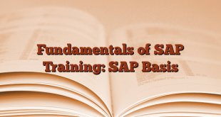 Fundamentals of SAP Training: SAP Basis