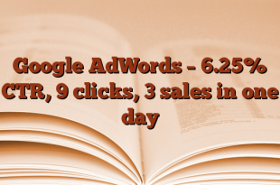 Google AdWords – 6.25% CTR, 9 clicks, 3 sales in one day