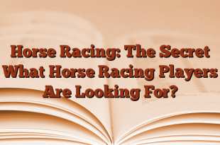 Horse Racing: The Secret What Horse Racing Players Are Looking For?