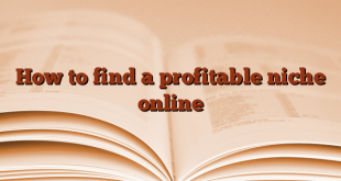How to find a profitable niche online