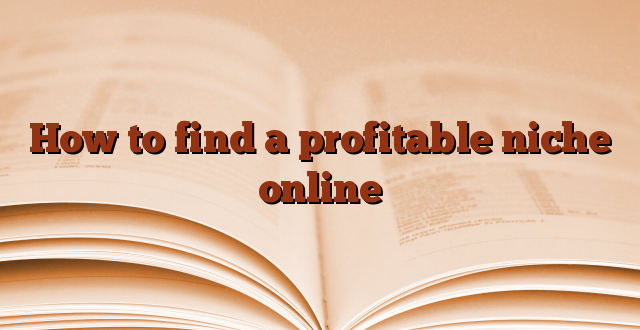 How to find a profitable niche online