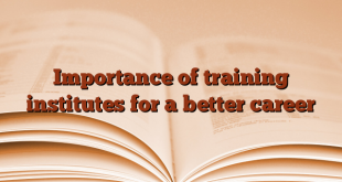 Importance of training institutes for a better career