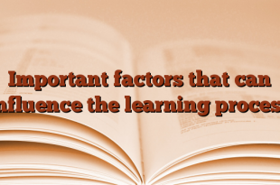 Important factors that can influence the learning process