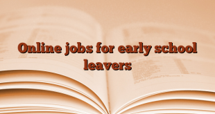 Online jobs for early school leavers
