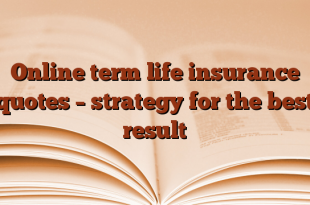 Online term life insurance quotes – strategy for the best result