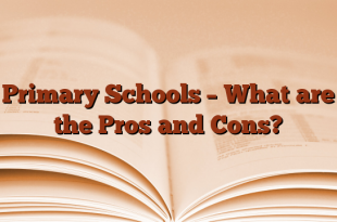 Primary Schools – What are the Pros and Cons?