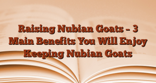 Raising Nubian Goats – 3 Main Benefits You Will Enjoy Keeping Nubian Goats
