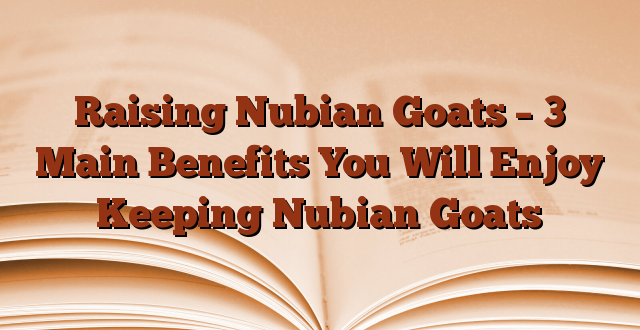Raising Nubian Goats – 3 Main Benefits You Will Enjoy Keeping Nubian Goats