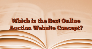 Which is the Best Online Auction Website Concept?
