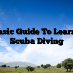 A Basic Guide To Learning Scuba Diving