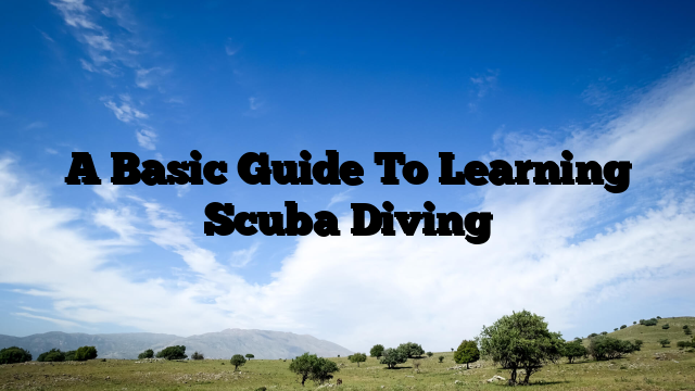 A Basic Guide To Learning Scuba Diving