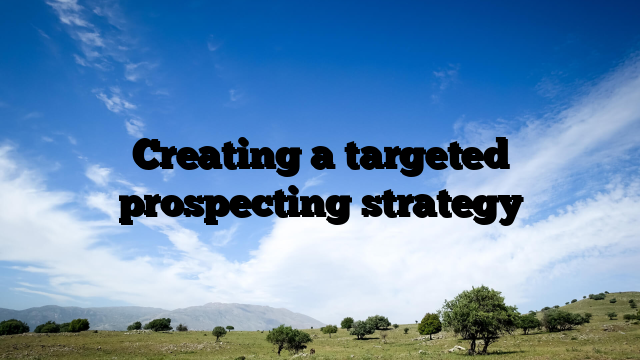 Creating a targeted prospecting strategy