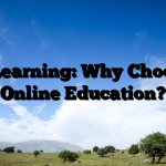 E Learning: Why Choose Online Education?