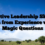 Effective Leadership Skills – Learn from Experience with 5 Magic Questions