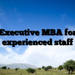 Executive MBA for experienced staff