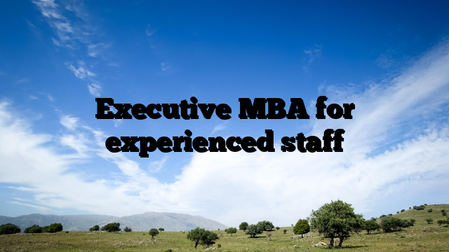 Executive MBA for experienced staff