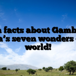 Fun facts about Gambia – Africa’s seven wonders of the world!