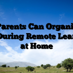 How Parents Can Organize the Day During Remote Learning at Home